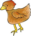 chicken