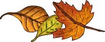 fall-leaves
