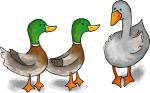 duck-duck-goose